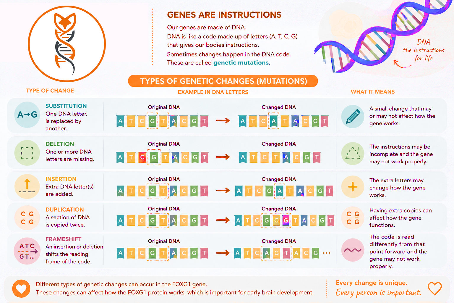 infographic genes